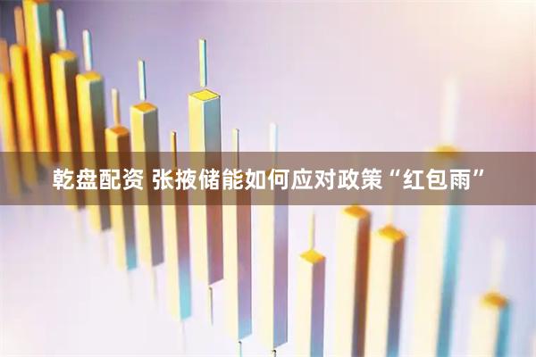 乾盘配资 张掖储能如何应对政策“红包雨”