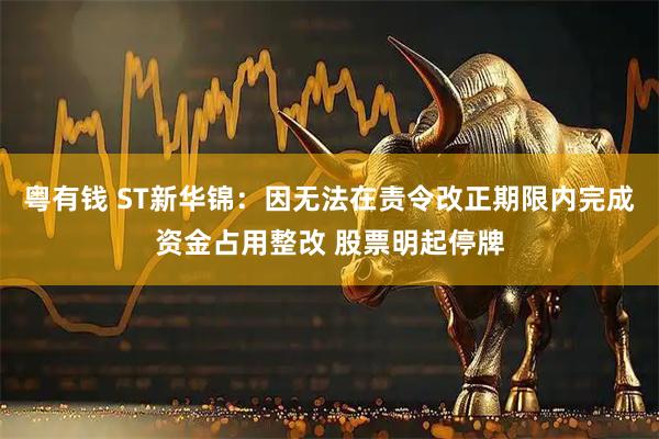 粤有钱 ST新华锦：因无法在责令改正期限内完成资金占用整改 股票明起停牌