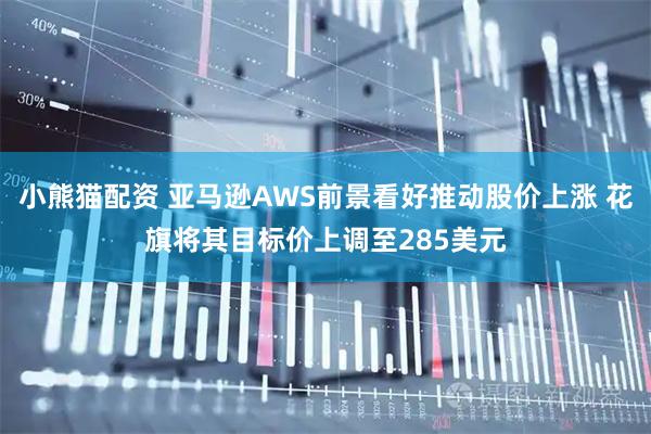 小熊猫配资 亚马逊AWS前景看好推动股价上涨 花旗将其目标价上调至285美元