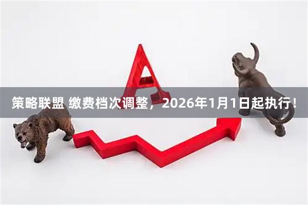 策略联盟 缴费档次调整，2026年1月1日起执行！