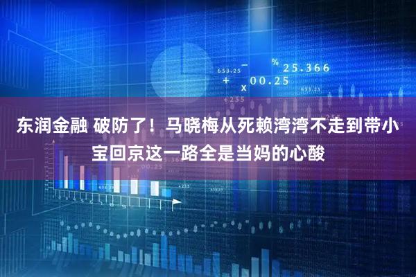 东润金融 破防了!马晓梅从死赖湾湾不走到带小宝回京这一路全是当妈的心酸