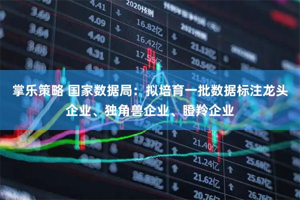 掌乐策略 国家数据局：拟培育一批数据标注龙头企业、独角兽企业、瞪羚企业