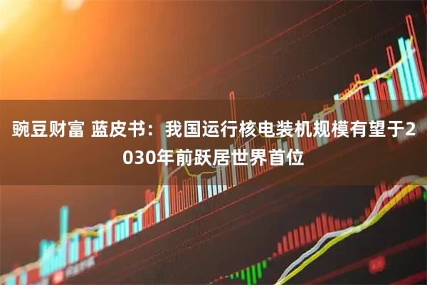 豌豆财富 蓝皮书：我国运行核电装机规模有望于2030年前跃居世界首位