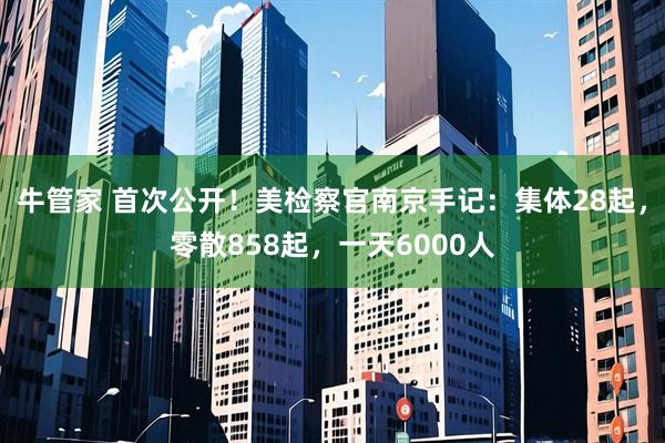 牛管家 首次公开！美检察官南京手记：集体28起，零散858起，一天6000人
