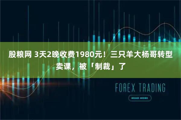 股粮网 3天2晚收费1980元!三只羊大杨哥转型卖课,被「制裁」了