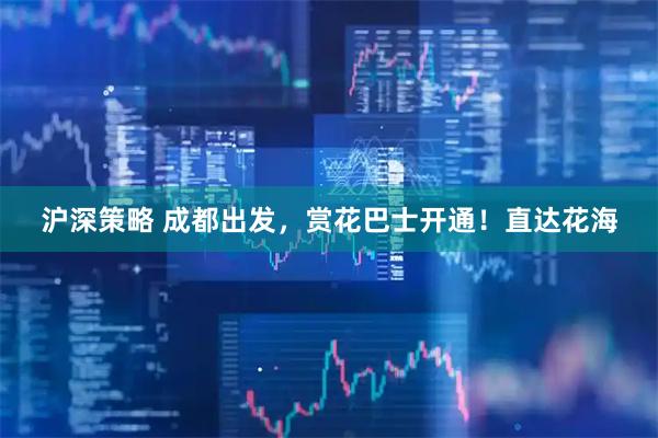 沪深策略 成都出发，赏花巴士开通！直达花海