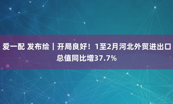 爱一配 发布绘｜开局良好！1至2月河北外贸进出口总值同比增37.7%
