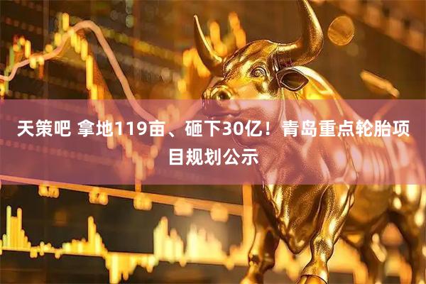 天策吧 拿地119亩、砸下30亿！青岛重点轮胎项目规划公示