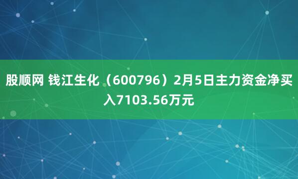 股顺网 钱江生化（600796）2月5日主力资金净买入7103.56万元