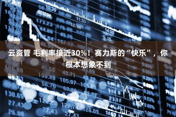 云资管 毛利率接近30%！赛力斯的“快乐”，你根本想象不到