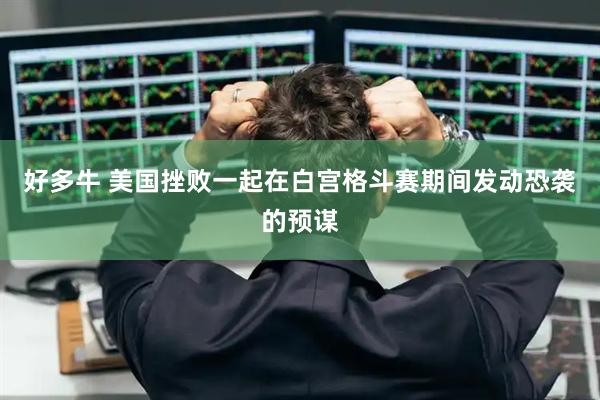 好多牛 美国挫败一起在白宫格斗赛期间发动恐袭的预谋