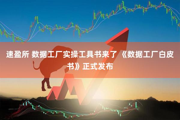 速盈所 数据工厂实操工具书来了 《数据工厂白皮书》正式发布