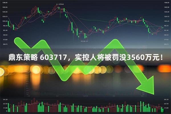 鼎东策略 603717，实控人将被罚没3560万元！